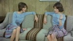 Teenage Twins (1976, Carter Stevens)